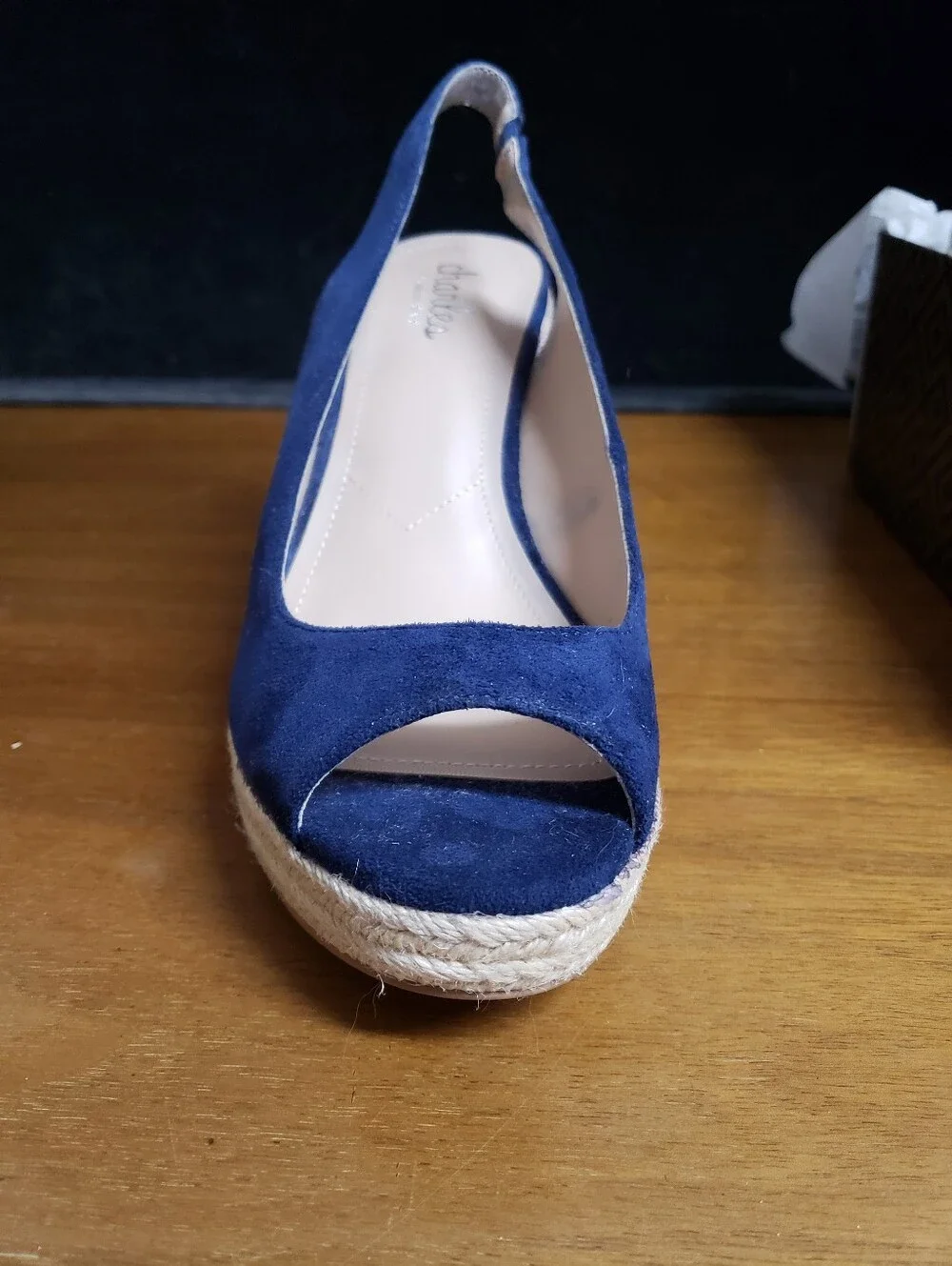 Charles David navy suede